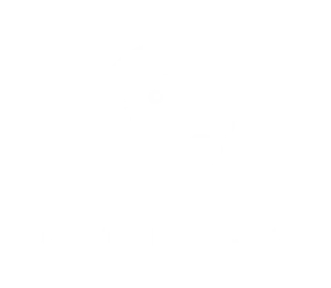 Original Chirply.io white bird and wordmark