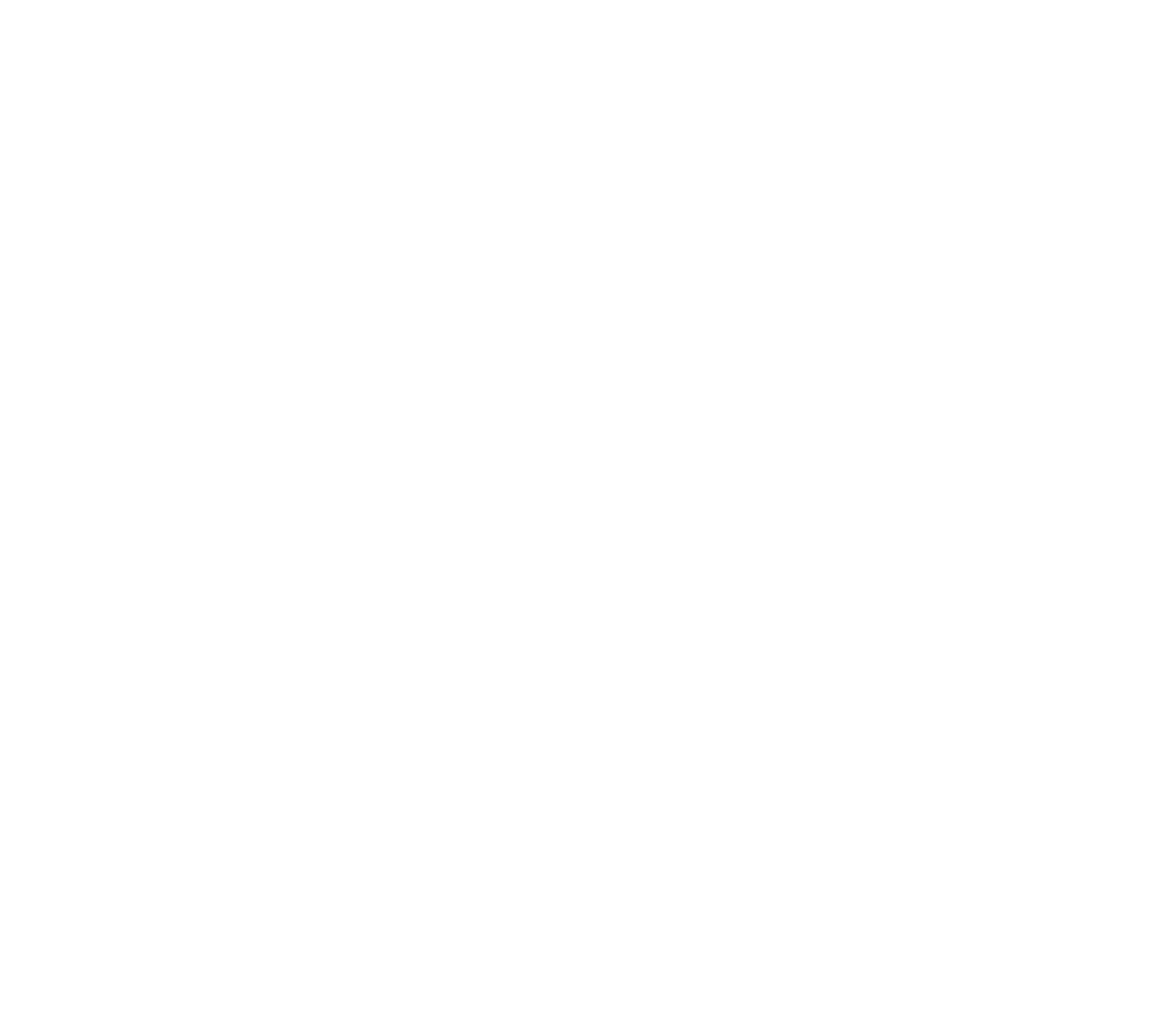 Original Chirply.io white bird and wordmark